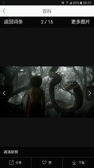 蛇与鞭在线观看影片,惊悚悬疑，探寻人性深渊的惊悚之旅  第2张