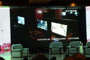 巴中卫视直播在线观看,实时掌握巴中动态，畅享精彩视听盛宴  第1张